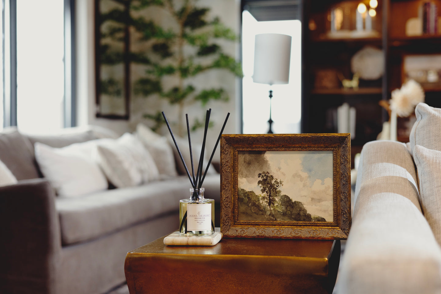 Fraser Fir | Reed Diffuser