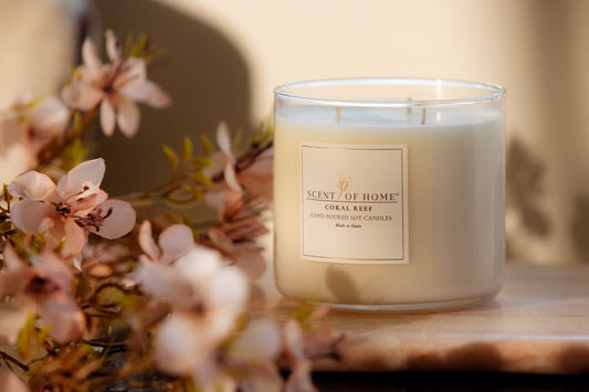 We're in BoiseDev! A Look at How Scent of Home Started