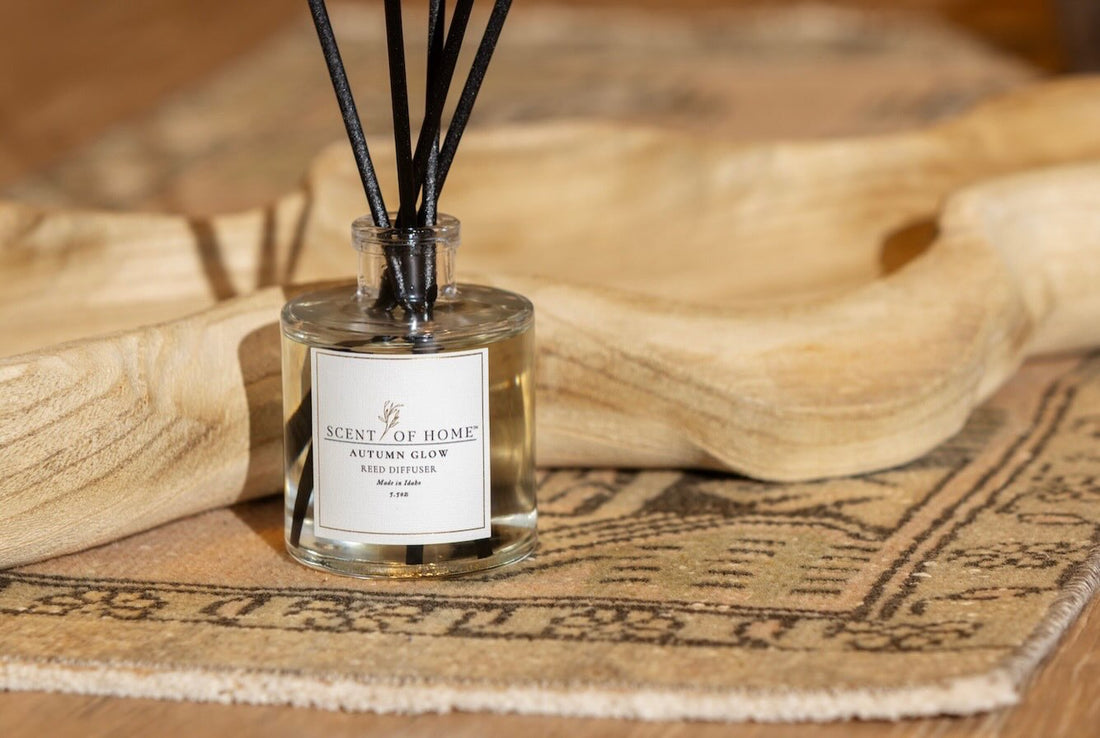 Best Scent Diffuser for Home: Why Reed Diffusers Are the Timeless Choice