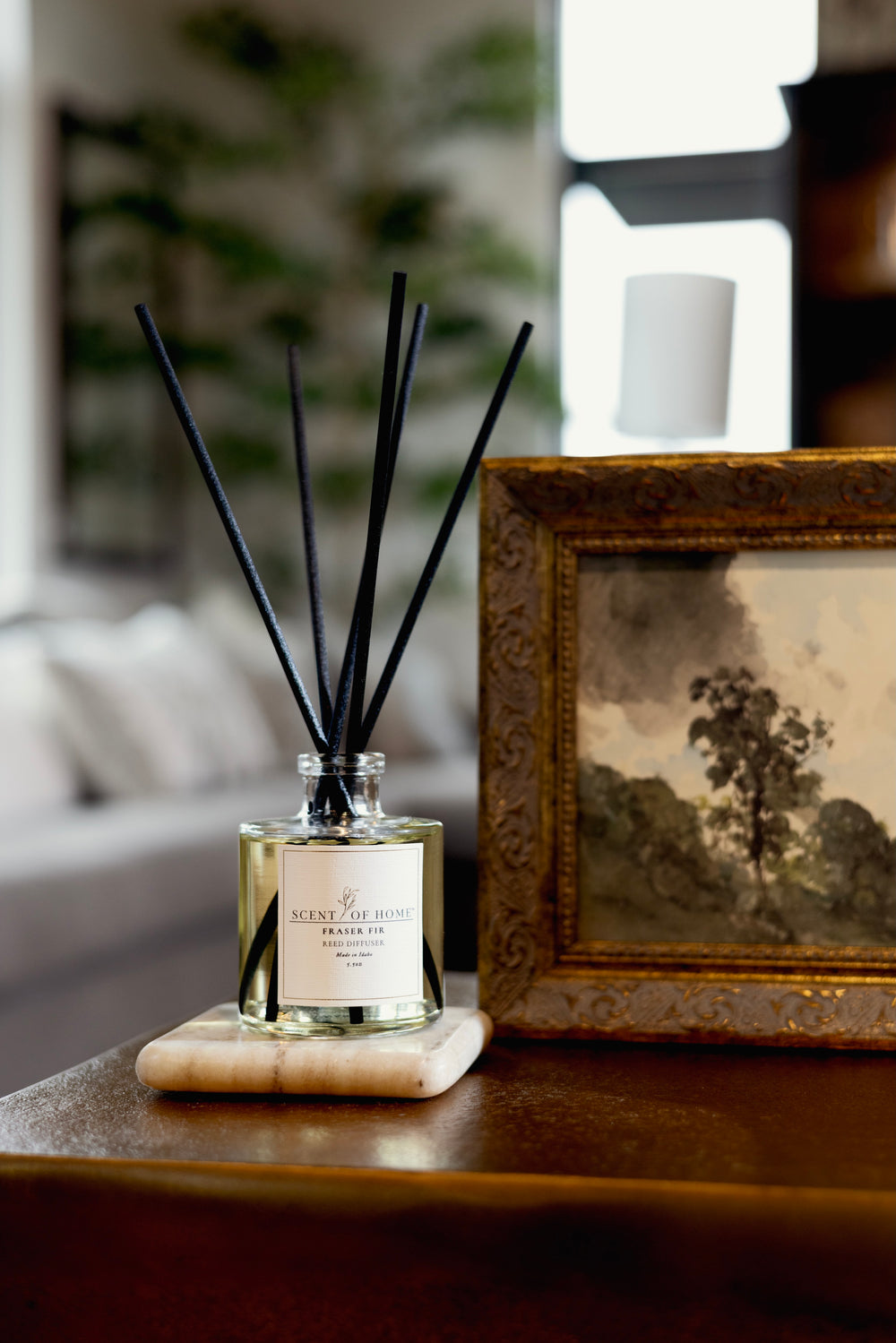 Fraser Fir Reed Diffuser